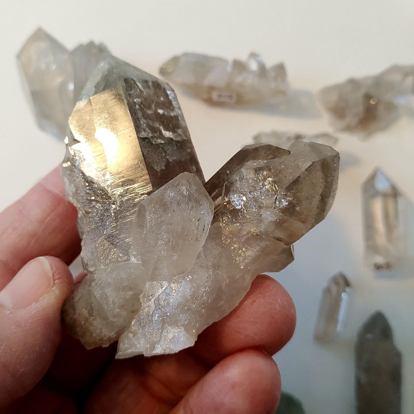 Minerali & Pietre curative: Lot Quarz, Uri, teils mit Phantom u. Skelett – Nuovo e nell'imballaggio originale da Steinhausen venduto da Kristall022 4