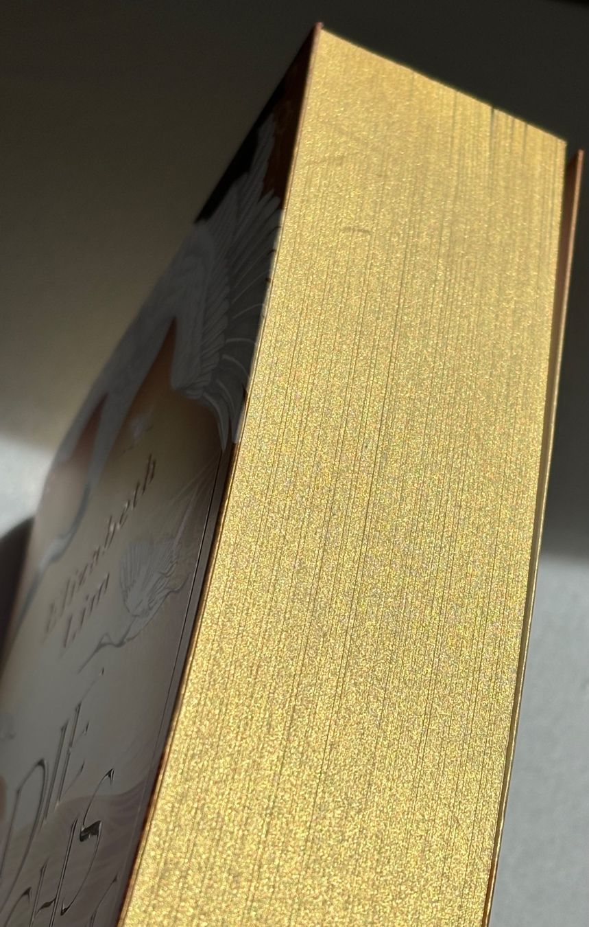 Bücher: Die sechs Kraniche von Elizabeth Lim – Gebraucht aus Stäfa von lenareads 4