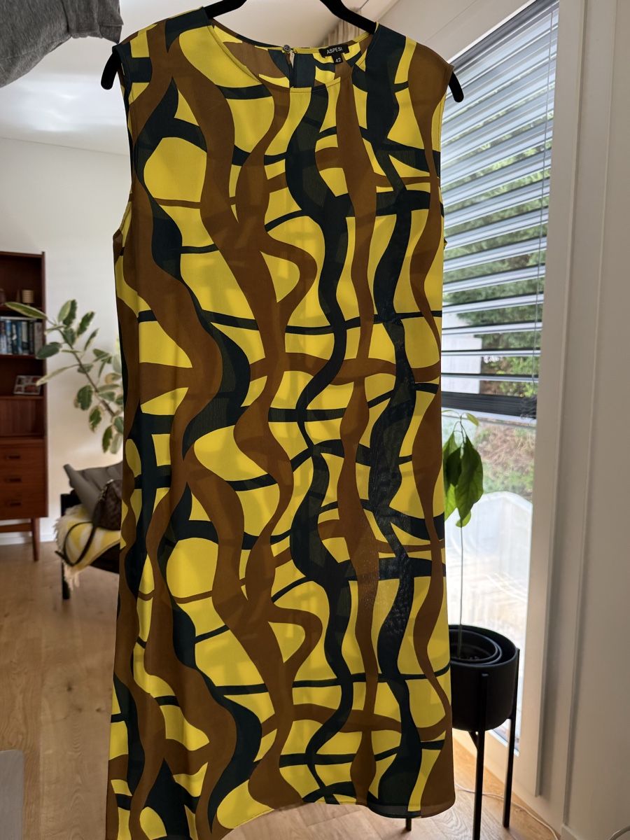 Aspesi Kleider: Aspesi Silk Dress (IT 42) – Neu (gemäss Beschreibung) aus Kilchberg ZH von deedee3