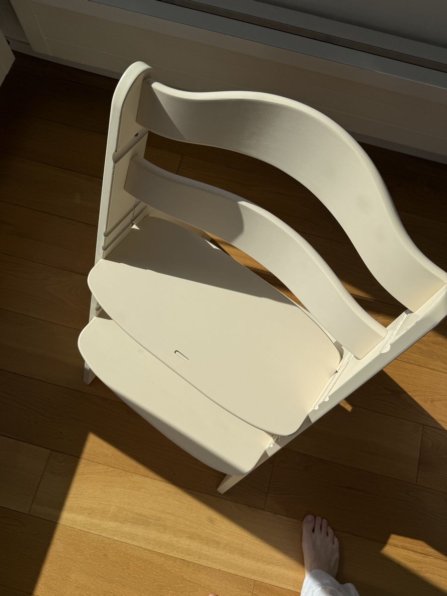 Hauck Seggioloni: Hauck Alpha+ and Tray – Usato da Thalwil venduto da art_kor 2