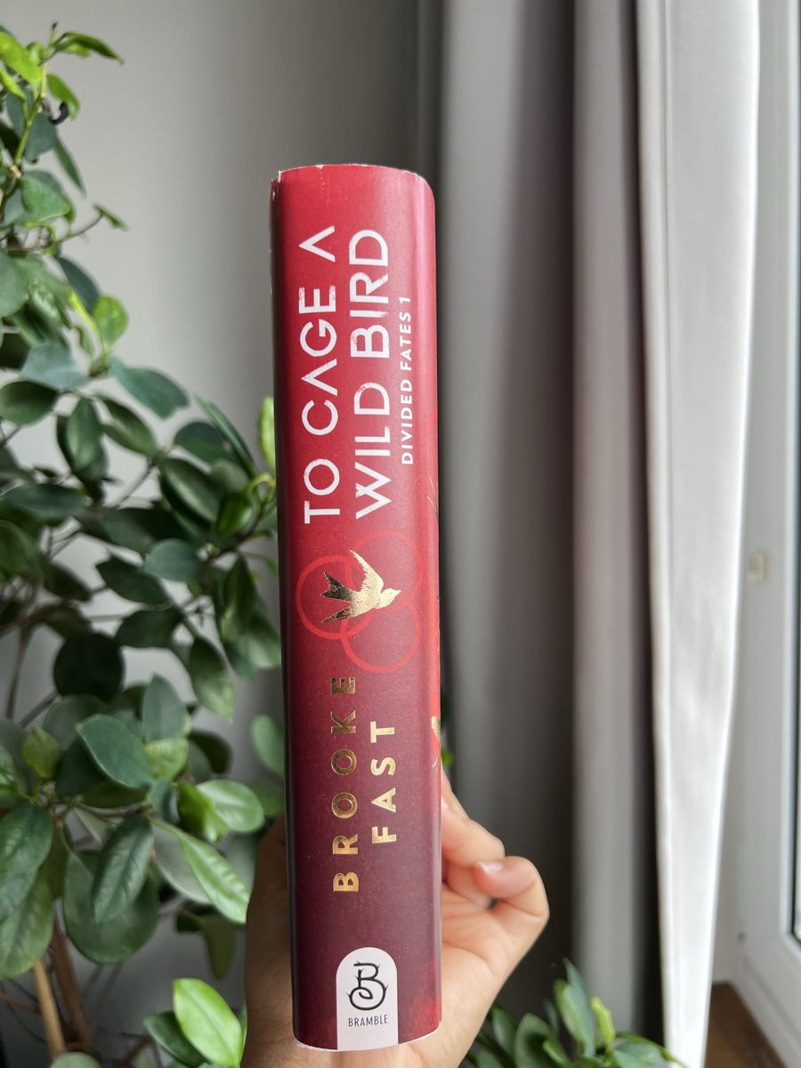 Libri: To Cage a Wild Bird von Brooke Fast – Nuovo (secondo la descrizione) da Glattbrugg venduto da readsy 4