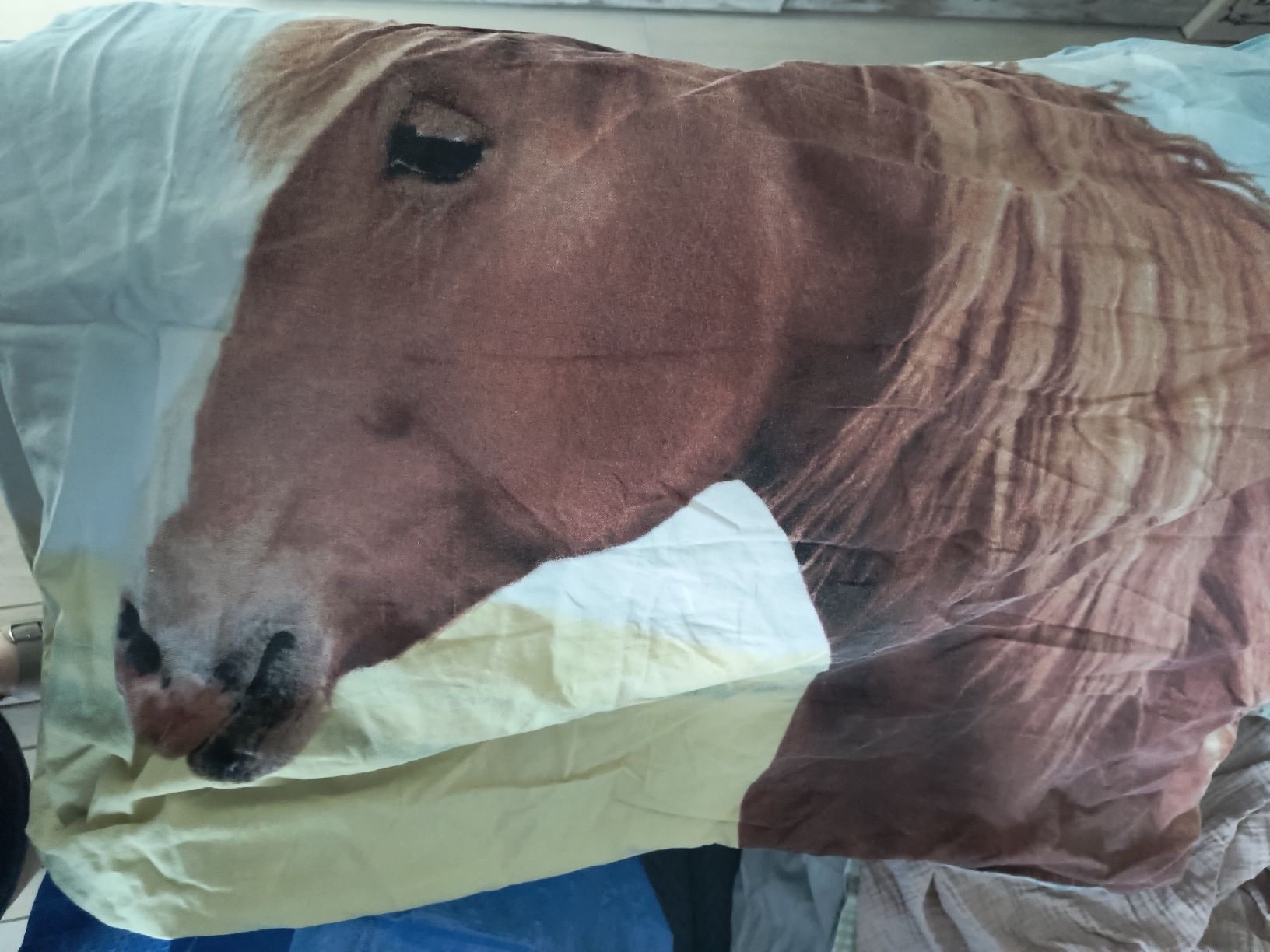 Biancheria da letto: Bettwäsche mit Pferdekopf Motiv  – Usato da Schöfflisdorf venduto da kin_2dp9