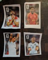 Panini Cola-Sticker Set