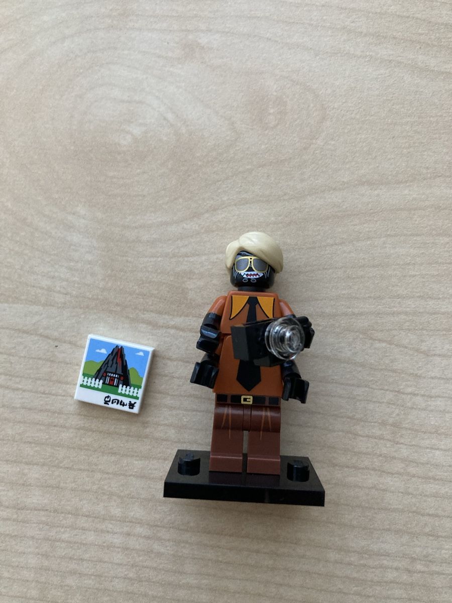 Lego Figuren: LEGO Ninjago Minifiguren 7 Stück – Neu (gemäss Beschreibung) aus Schwarzenburg von Schrepfer 4