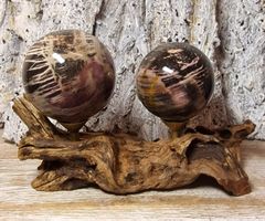 2 versteinerte Holzkugeln auf Treibholz Ständer