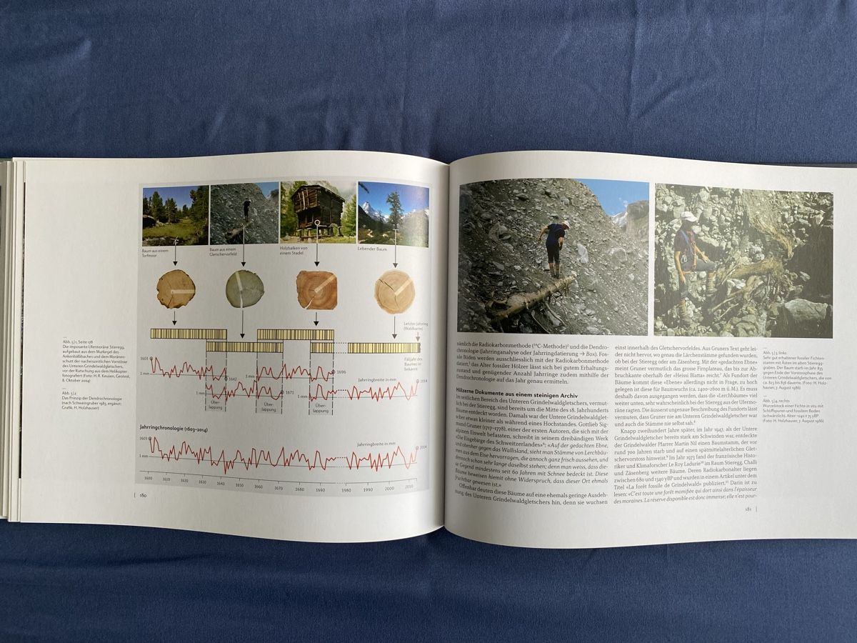 Libri: Buch Die Grindelwaldgletscher – Nuovo (secondo la descrizione) da Eiken venduto da Carcharias 8