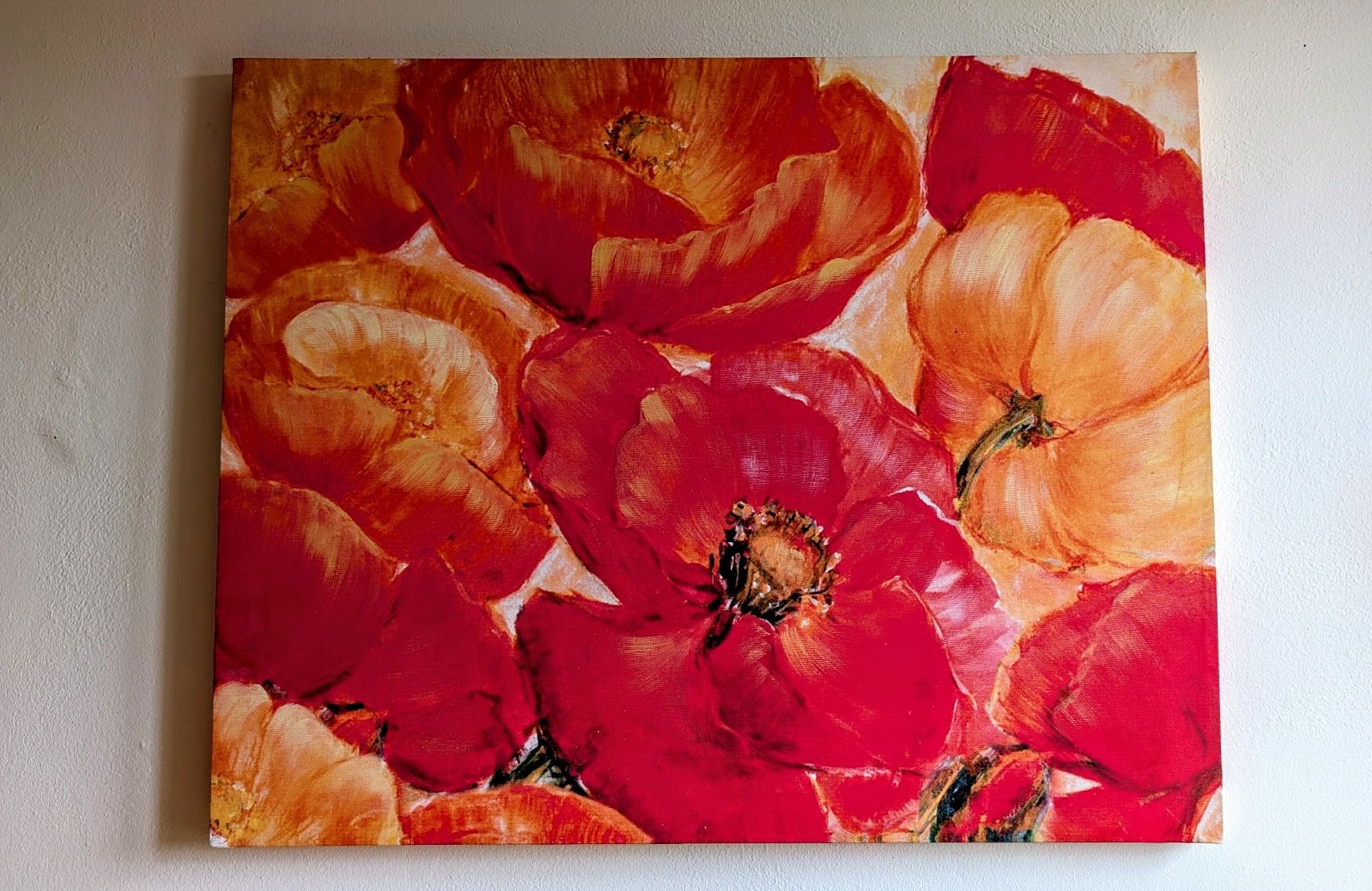 Dipinti: Leinwandbild Mohnblume 61 x 76 cm – Nuovo (secondo la descrizione) da Büren an der Aare venduto da des_lry7