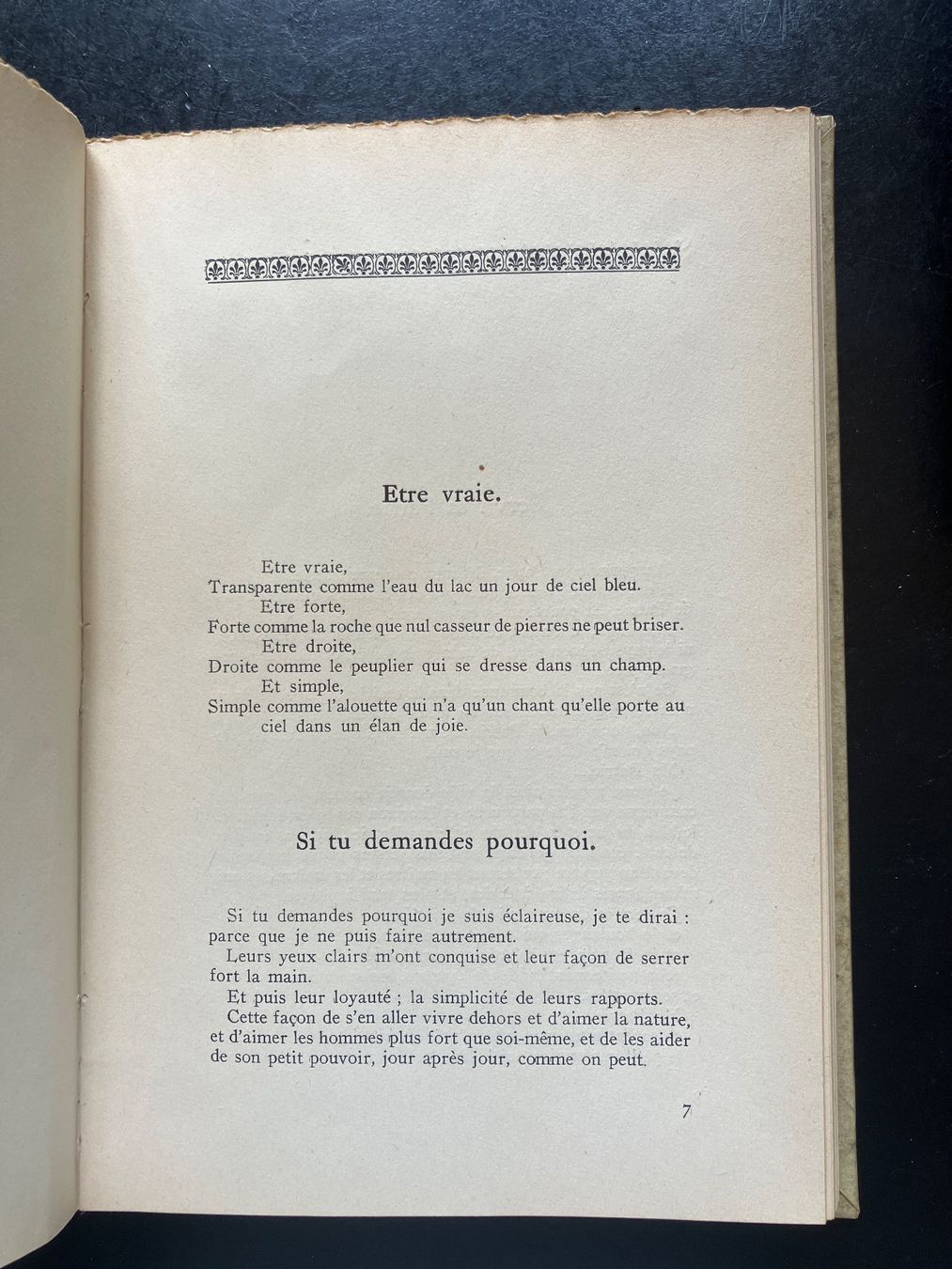 Libri: Le Livre de Lezard. H. Robert, alt – Usato da Wangen ZH venduto da day01 2