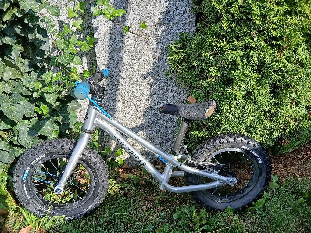 Veicoli per bambini: Early Rider Laufrad mit Hinterradbremse – Usato da Dietfurt venduto da Many06