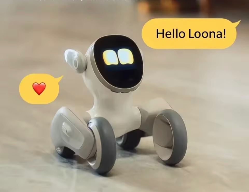 Giocattoli: Loona smart Toy Robot Einzelstück neue Version Chat GPT – Usato da Grenchen venduto da Jimbo3743 5