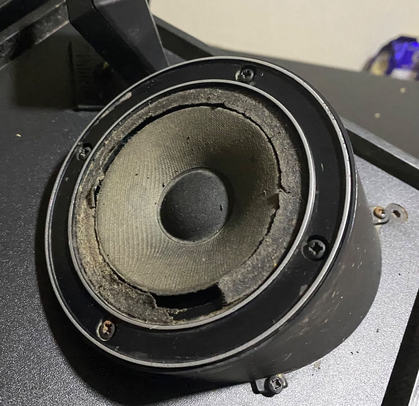 Casse acustiche: Pataco PD 113 Lautsprecher – Usato da Oberglatt ZH venduto da Kumar2 2