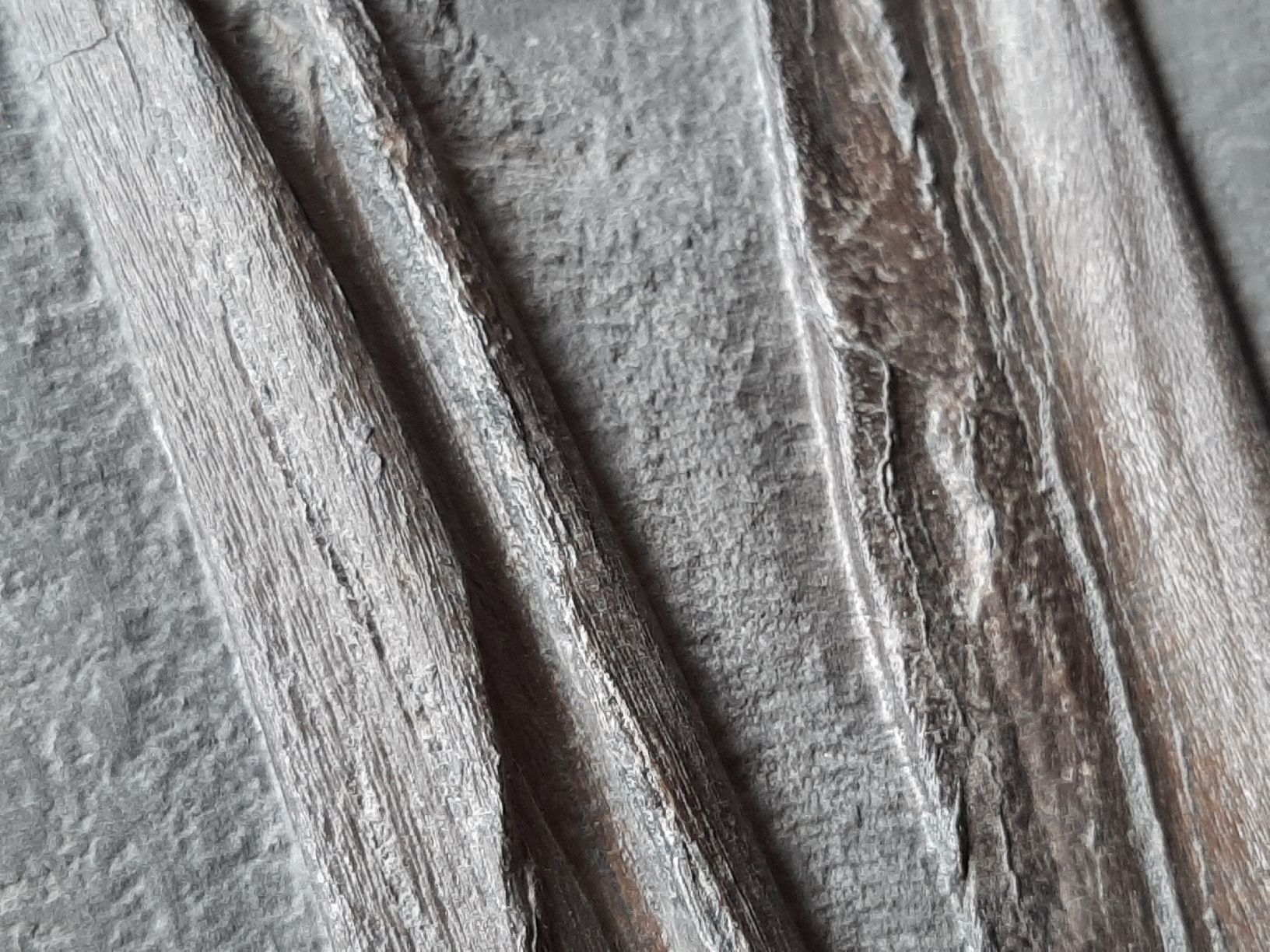 Fossili: Kieferrest eines Ichthyosauriers – Usato da Rickenbach BL venduto da Oktober68 4
