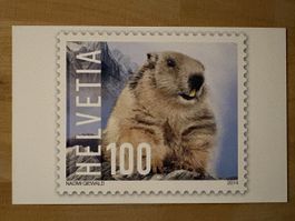 AK mit Tier Briefmarke Motiv von Naomi Giewald