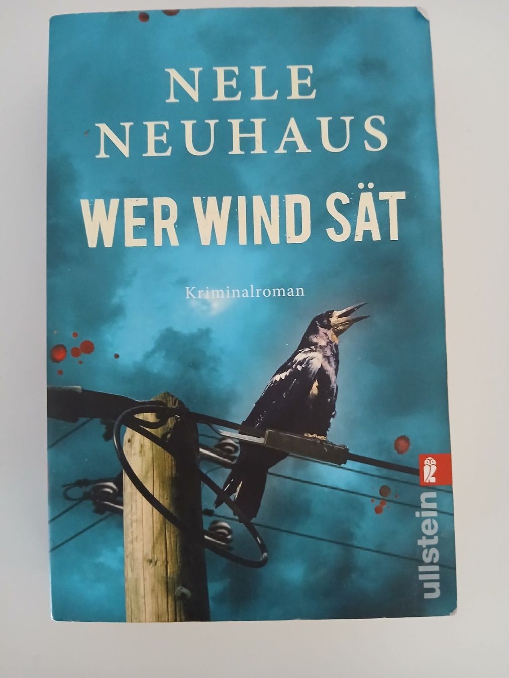 Bücher: Kriminalromane psychothriller – Gebraucht aus Zürich von csm04 3
