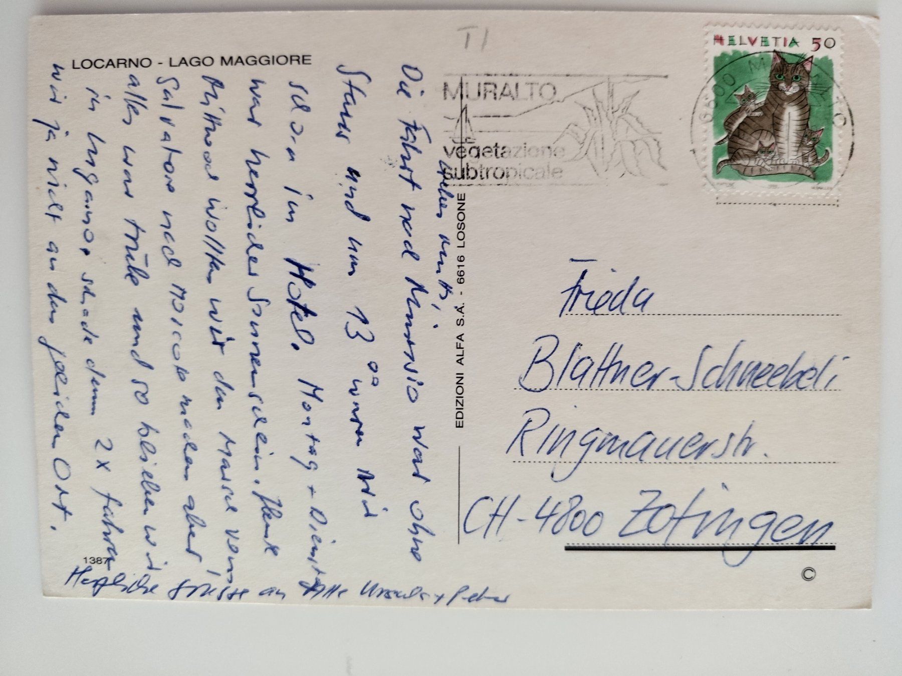 Ansichtskarten: Schiff NLM? Locarno Lago Maggiore dat. 1981? – Gebraucht aus Ohmstal von Lebensfreude05 1