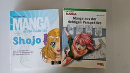 Manga Zeichenkurs: Shojo & Perspektive - 2 Bücher