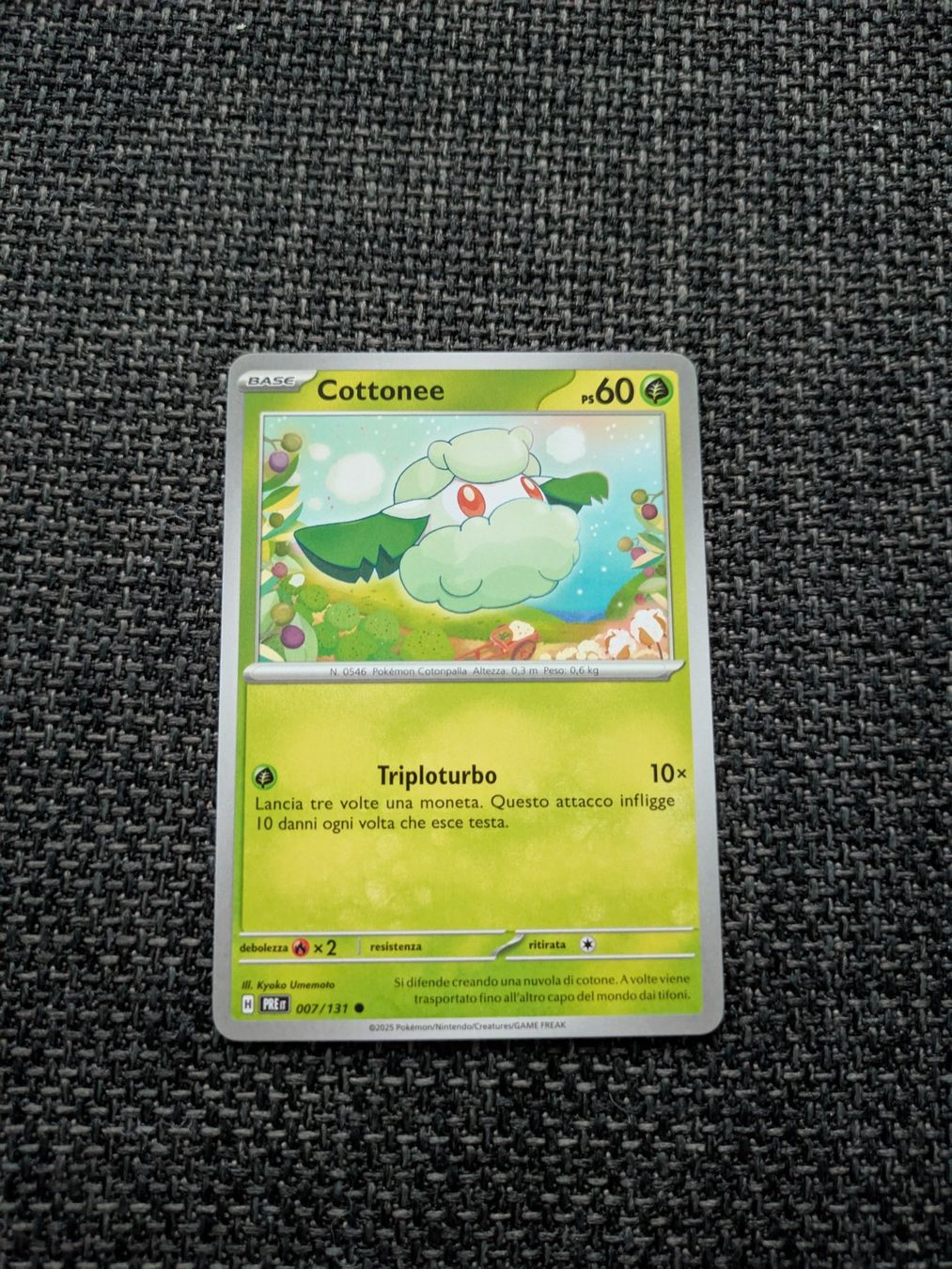 Pokémon Sammelbilder & Trading cards: COTTONEE, PRISMATIC EVOLUTIONS, 7, 2025, COM, ITA, NM/MT – Gebraucht aus Losone von AlpineLayer