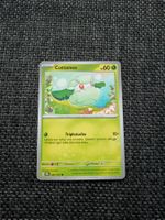 COTTONEE, PRISMATIC EVOLUTIONS, 7, 2025, COM, ITA, NM/MT