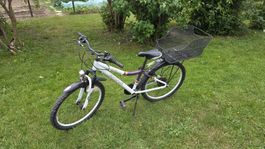 Kinderfahrzeug, Velo