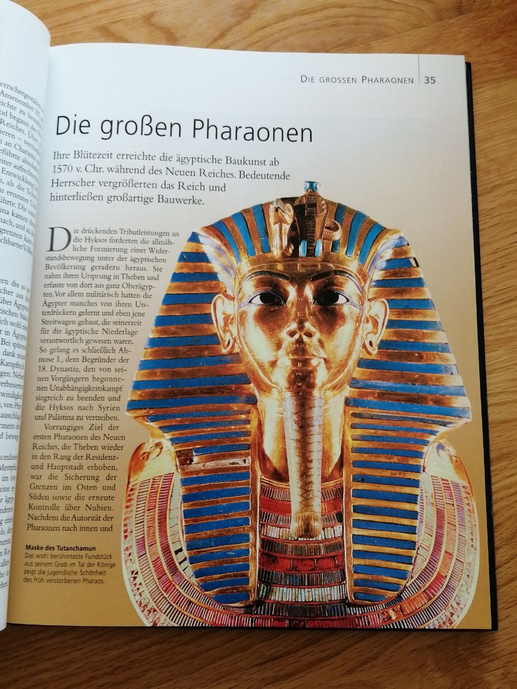 Libri: Reader's Digest: Entstehung unserer Zivilisation Top Zustand – Nuovo (secondo la descrizione) da Honau venduto da holunder3 5