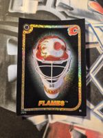 NHL Calgary Flames Helmet