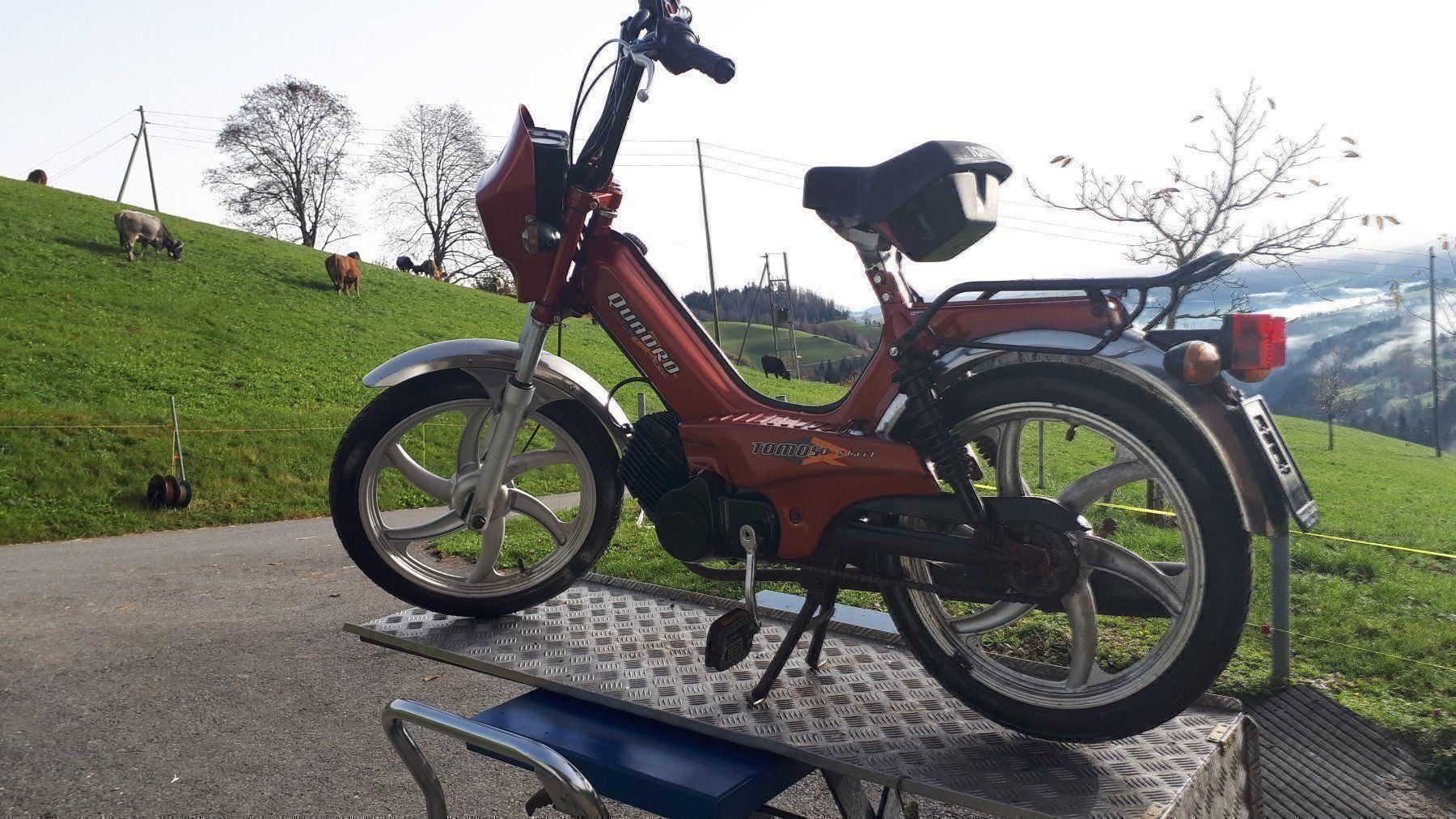 Tomos Ciclomotori: Mofa – Usato da Menzberg venduto da elm_q9ff 2