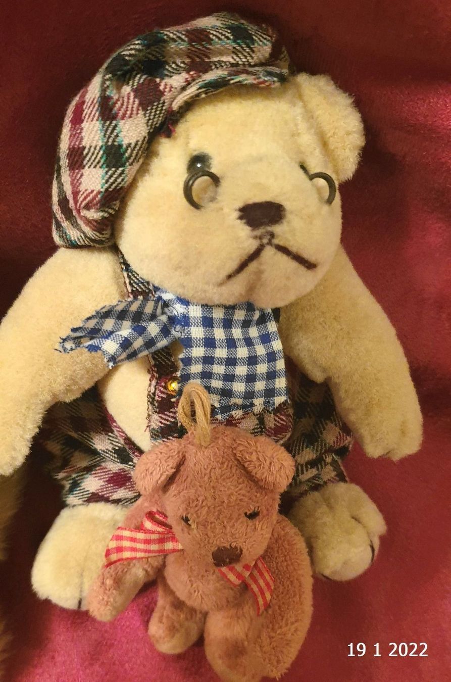 Giocattoli: 4 Sammel Teddy's – Usato da Basel venduto da The_Onliners 3