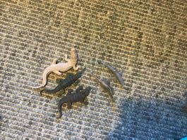 Tierfiguren Set Krokodile und Haie gebraucht 5 Stück