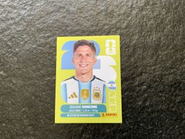 Panini Bild ARG 20