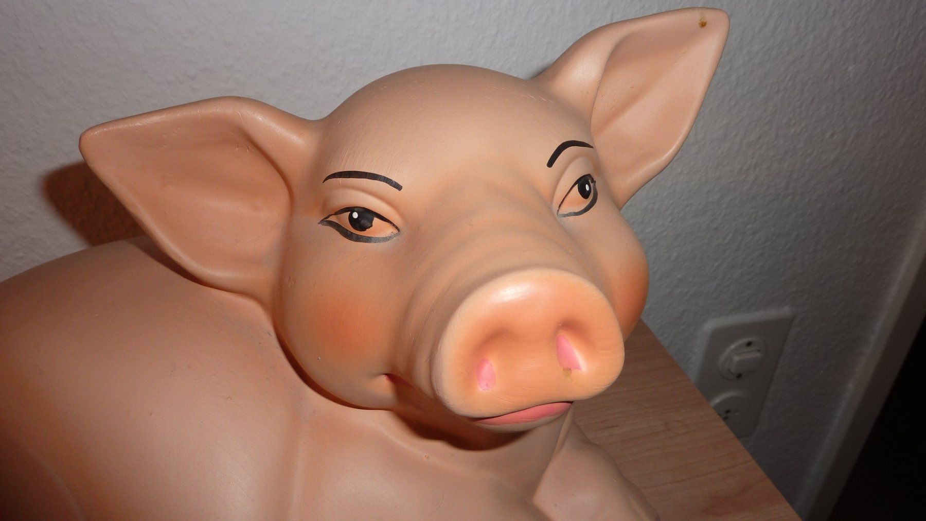 Salvadanai: sparschwein – Nuovo (secondo la descrizione) da Füllinsdorf venduto da pmarkus 1