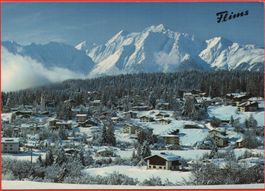 FLIMS mit Signinagruppe