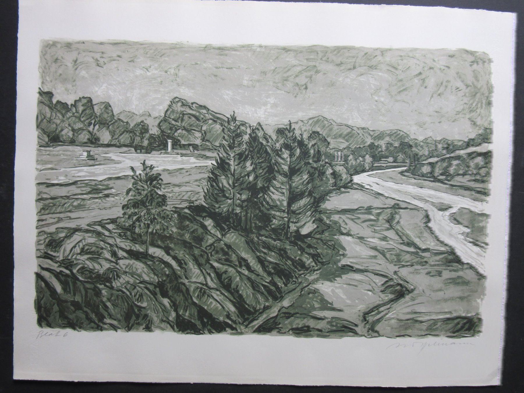 Grafica & Litografie: Diggelmann Alex Walter  LITHOGRAPHIE SIGNIERT – Usato da Gersau venduto da grafik-kunst 1