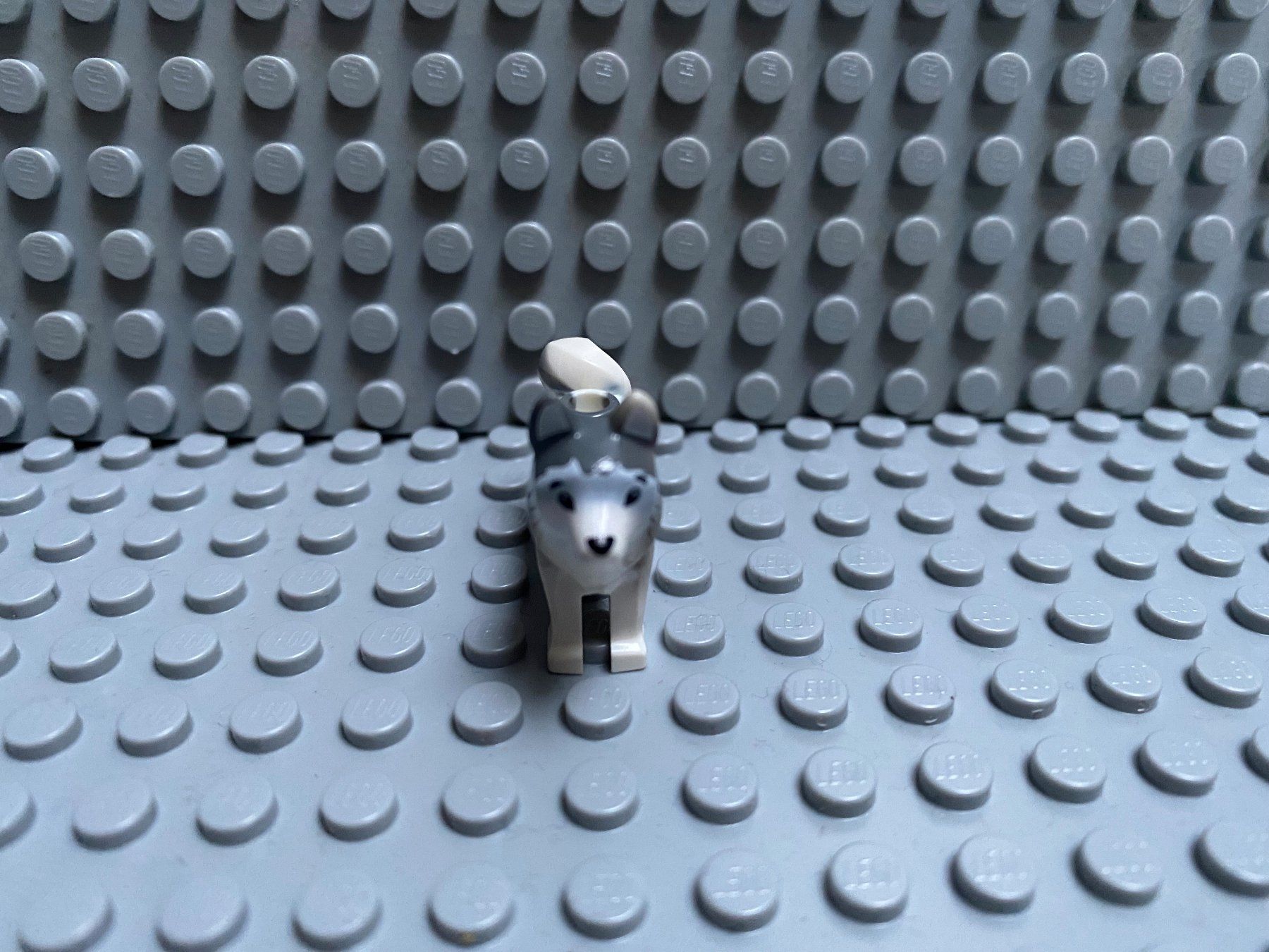 Lego Kit di costruzioni: Lego Tiere - Hund Husky – Usato da Horw venduto da G39517sG 1