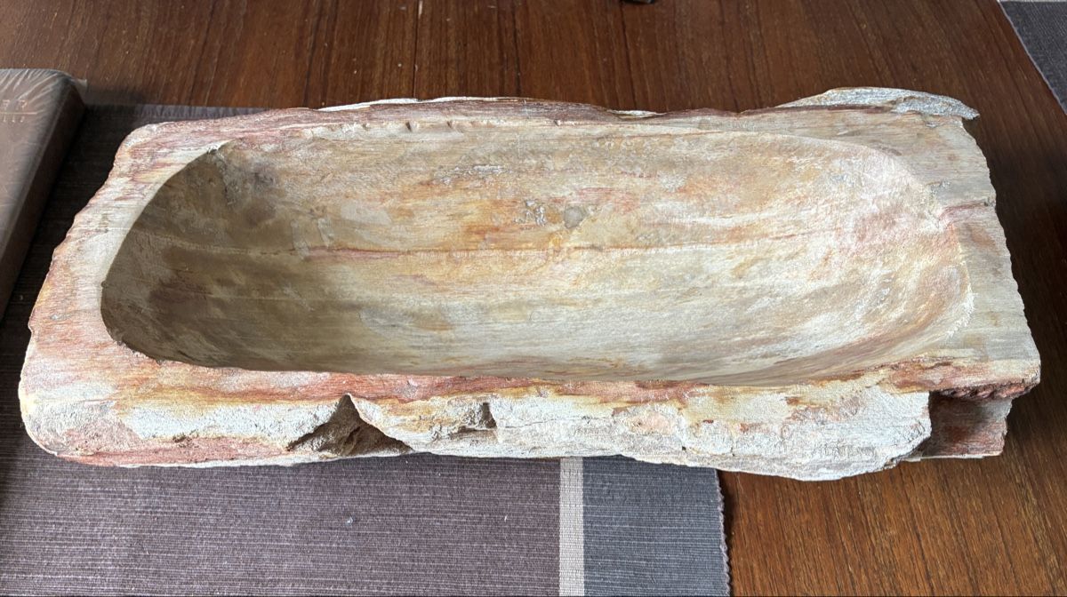 Fossili: Bois fossilisé – Usato da Lausanne venduto da JTRMcom 1