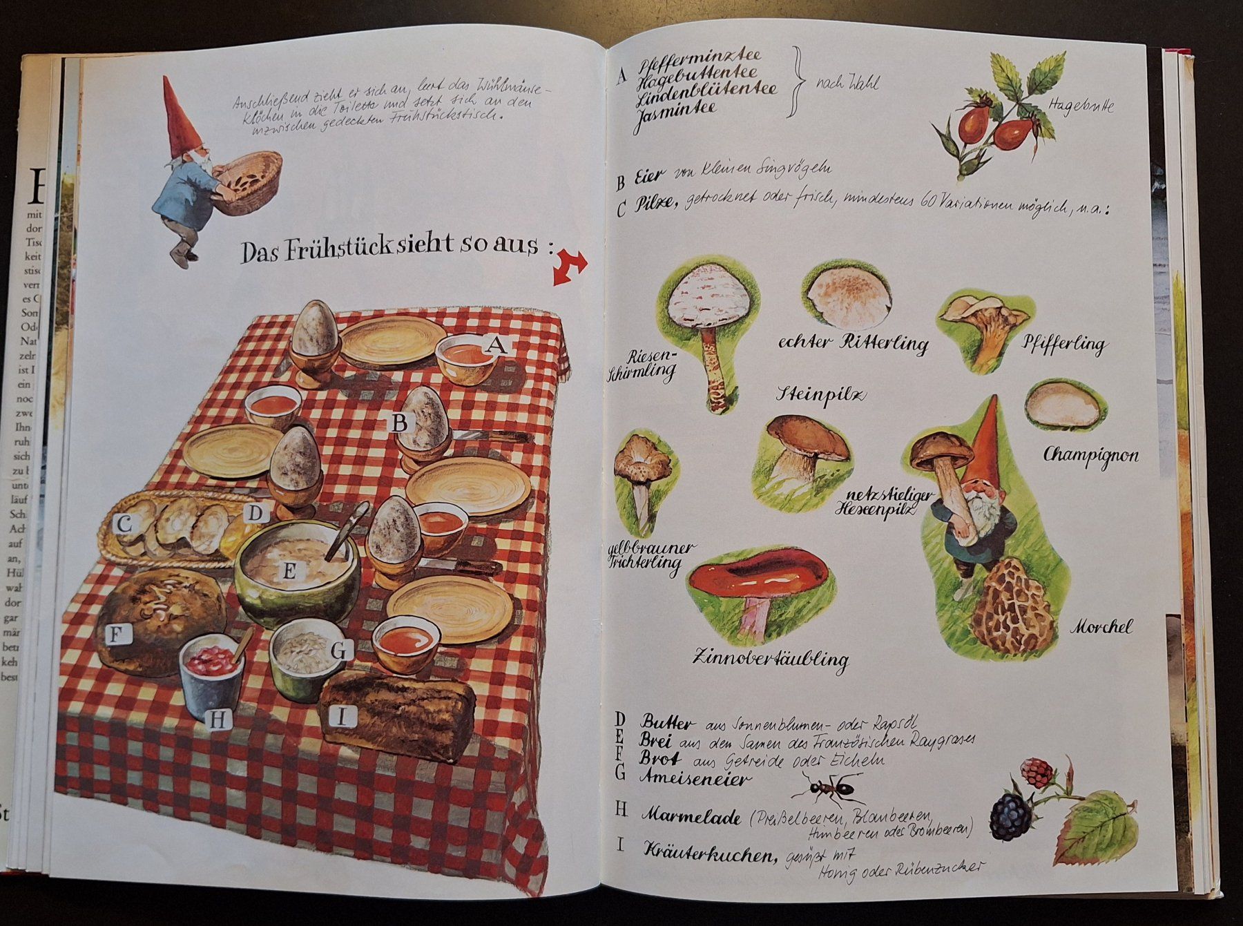 Libri: Das grosse Buch der Heinzelmännchen – Usato da Opfikon venduto da Carslo5 2