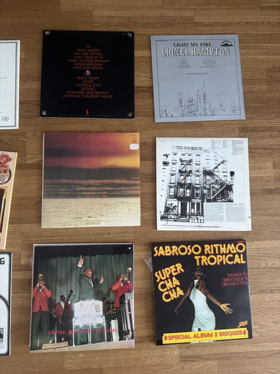 Vinyles: Schallplatten LPs Konvolut 12Stk – D'occasion à Buchs ZH par scarah 3