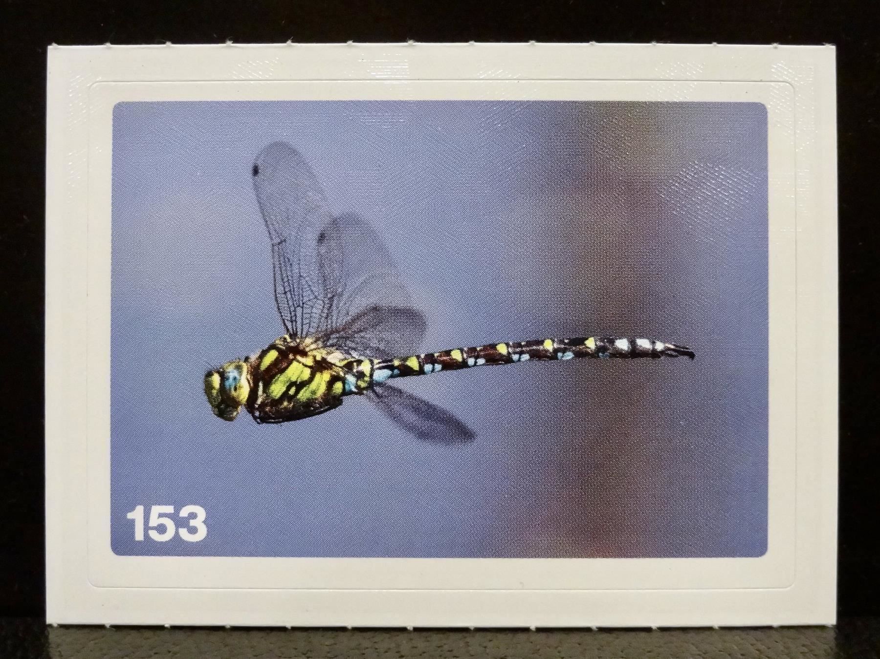 Migros Carte collezionabili: MIGROS MANIA Nature Detectives Nr. 153 – Usato da Kerzers venduto da zimmergruen