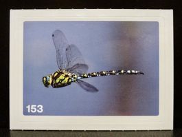 MIGROS MANIA Nature Detectives Nr. 153