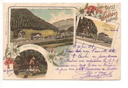 LITHO Gruss aus dem Waldhaus SIHLBRUGG Station mit Bahn