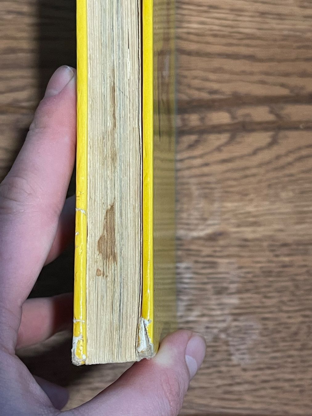 Comics: Das grosse Disney Bilderbuch antik 1970 – Gebraucht aus Zuerich von Dorsi 4