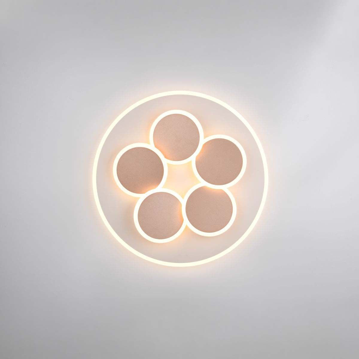 Lampadari & plafoniere: LED Deckenleuchte, Grau, Coffee, 49 cm Ø – Nuovo (secondo la descrizione) da Kreuzlingen venduto da Smart-Light 4