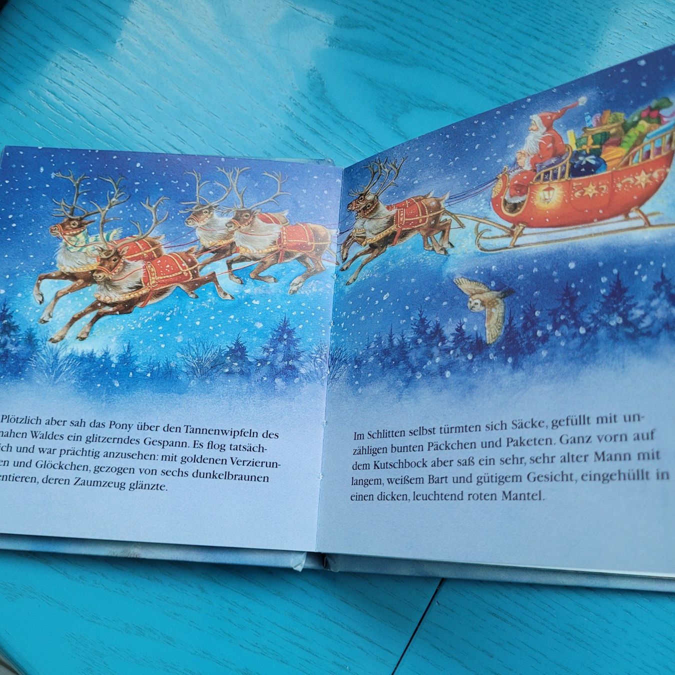 Libri: Das Weihnachtspony - Kai Haferkamp – Usato da SCHÜBELBACH venduto da CoKaHa 4