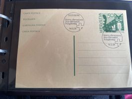 Postkarte Helvetia 1991 Katze grün 50er Jahrgang
