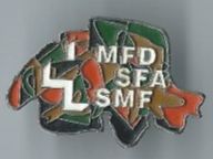 Placchette & Badge: MFD SFA SMF , Pin – Usato da Zürich venduto da t24_de