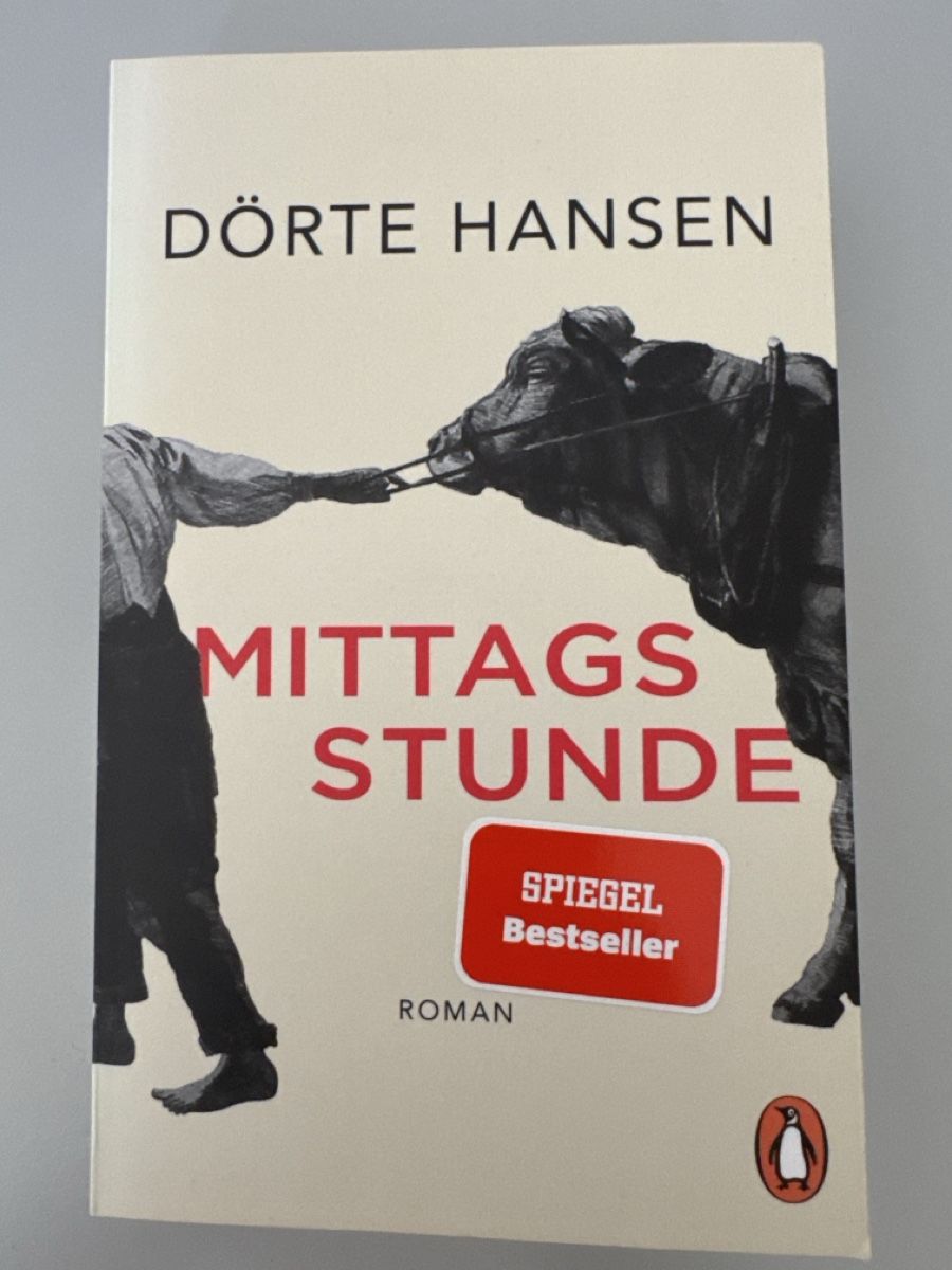 Libri: Dörte Hansen  Mittagsstunde  Roman – Usato da Zürich venduto da Smarties13