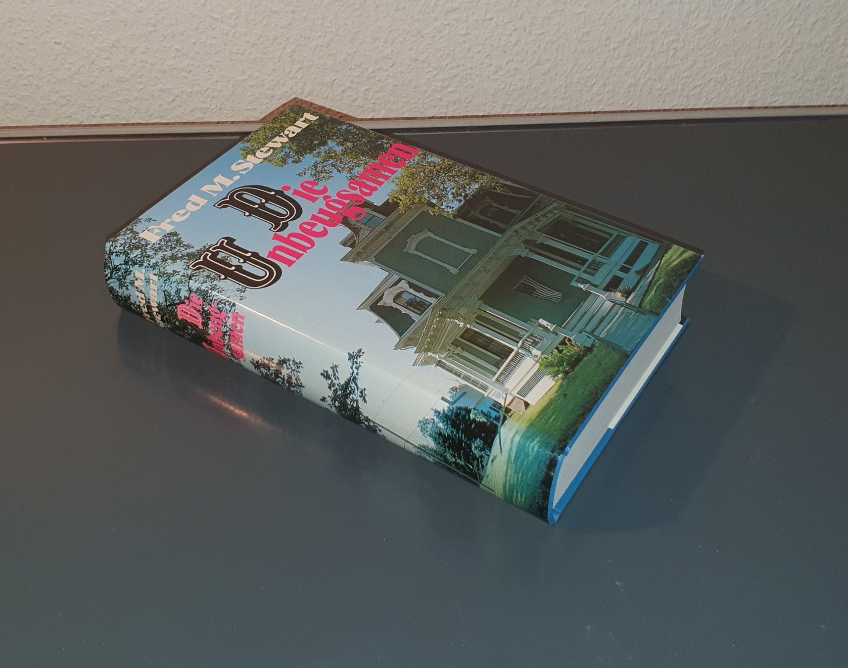 Libri: Die Unbeugsamen von Fred M. Stewart – Usato da Dübendorf venduto da Povo 2