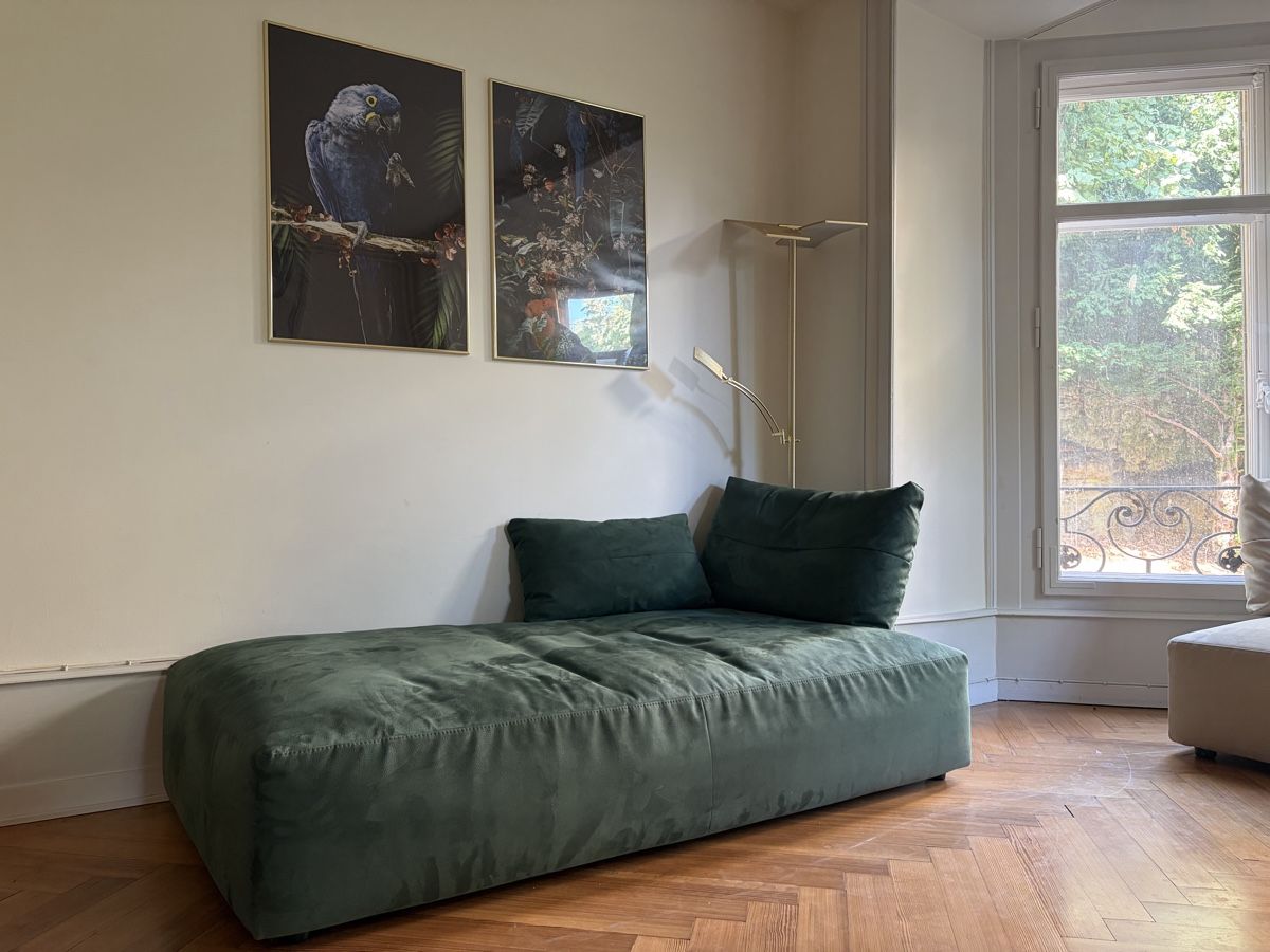 Divani: Designer Sofa Dondi Salotti – Usato da Neuchâtel venduto da milleh 3