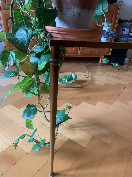 Tavoli: Vintage Sofatisch mit Glasplatte – Usato da Basel venduto da yan_5jq5 2
