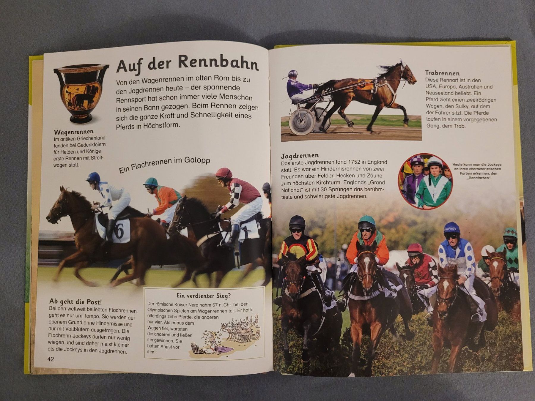 Libri: Pferde und Ponys - memo Wissen entdecken – Usato da Bauma venduto da Yotanke 2