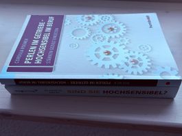 Buch Hochsensibel von Elaine N. Aron guter Zustand